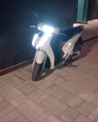 Honda sh 