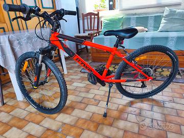 Mountain-bike 24