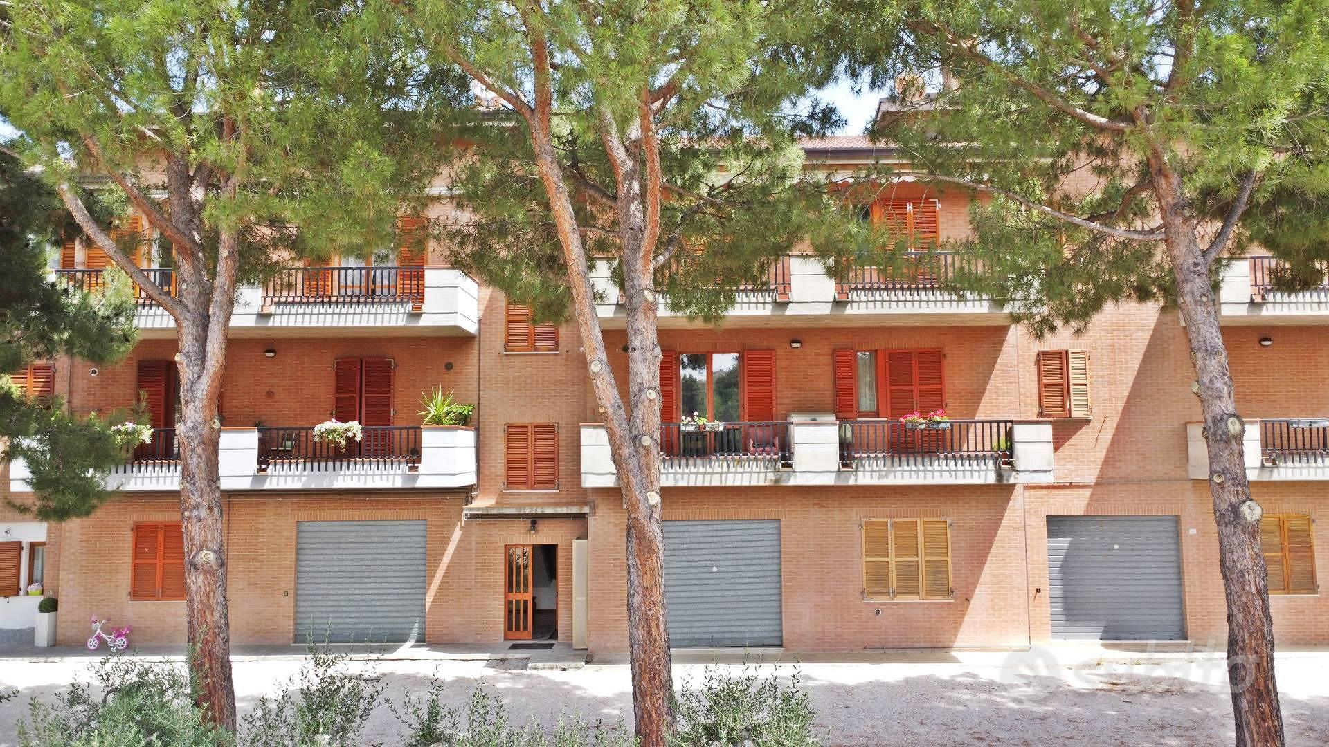 Appartamento – Torre San Patrizio, Fermo - Vista 2