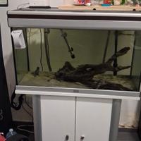 acquario con filtro esterno 