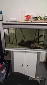 acquario con filtro esterno 