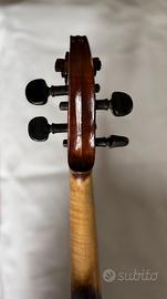 Violino