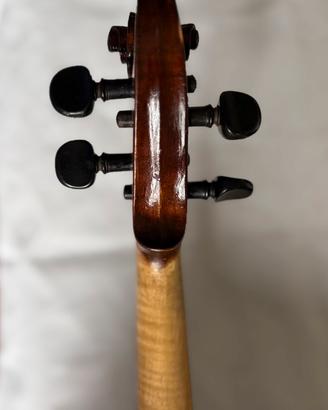 Violino