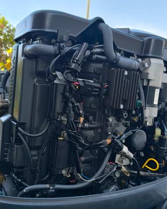 fuoribordo selva 115cv