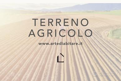 SPINEA Terreno Agricolo di 15.000 MQ S704
