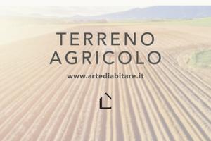 SPINEA Terreno Agricolo di 15.000 MQ S704