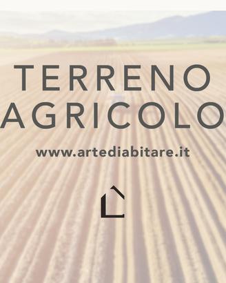 SPINEA Terreno Agricolo di 15.000 MQ S704