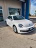 volkswagen-maggiolino-1-6-tdi-design