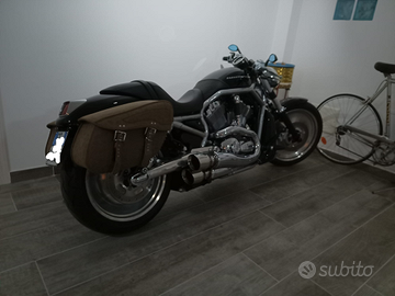 Harley vrod asi 2500km nuova full rizoma+originale