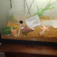 ACQUARIO