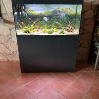 Acquario