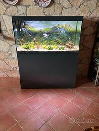 Acquario