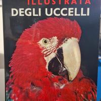 Enciclopedia illustrata degli uccelli di HANZAK J
