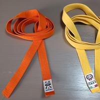 cinture gradi arti marziali