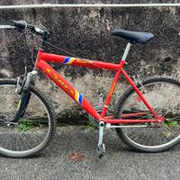 Bicicletta MTB