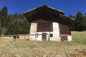 Rustico Maso Baita valle del Lozen - (Vanoi)