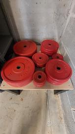 Set Completo Pesi Ghisa + Bilancieri