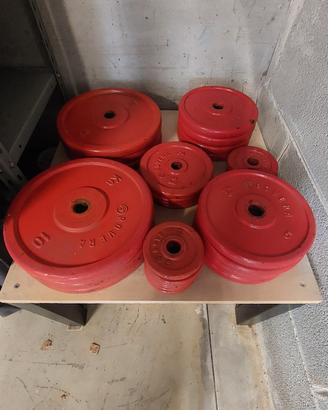 Set Completo Pesi Ghisa + Bilancieri