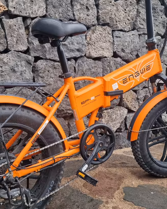 Bici elettrica Engwe EP-2PRO