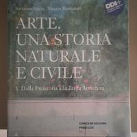 9788828616436 Arte una storia naturale e civile