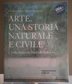 9788828616436 Arte una storia naturale e civile