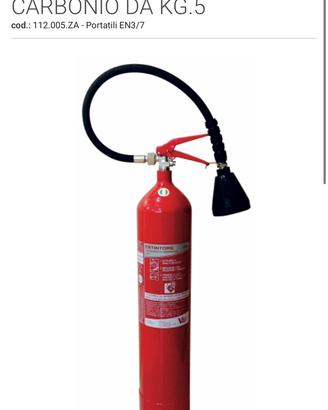 Estintore da 5kg a co2