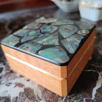 Portagioie abalone Paua shell