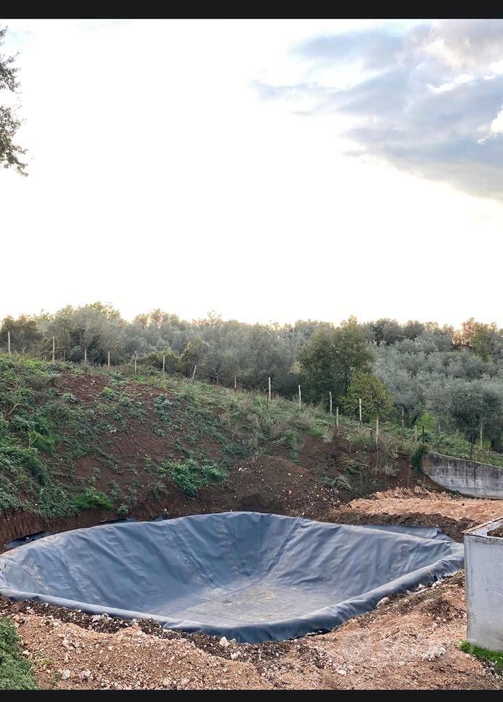 Azienda agricola Postiglione - Altro