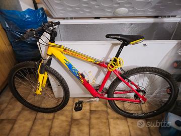bicicletta 