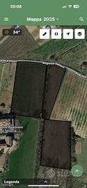 Vendita terreno agricolo