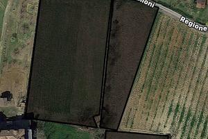 Vendita terreno agricolo