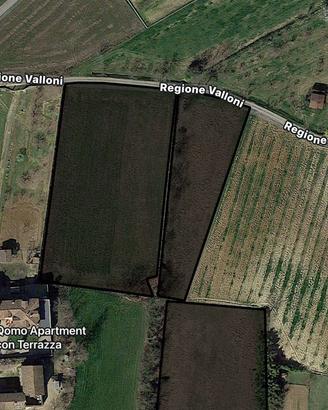Vendita terreno agricolo