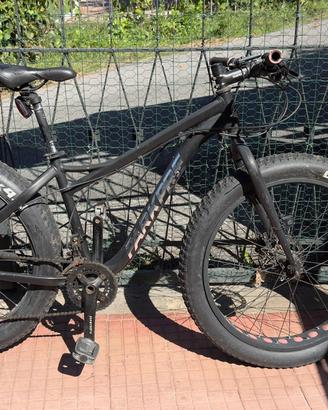 Bici fat bike