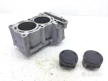 CILINDRO CON PISTONI YAMAHA T-MAX XP 500 2008 SJ06