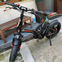 Bici elettrica