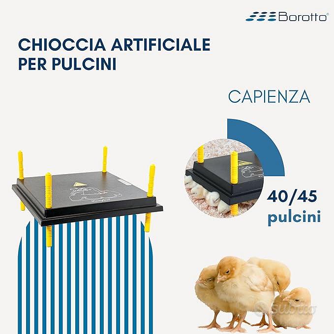 Chioccia Artificiale Per 40/45 pulcini BOROTTO - Accessori per