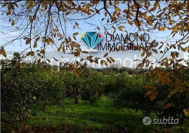 Soluzione singola con terreno a Macchia di Giarre