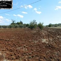 TERRENO FRONTE STRADA 5000mq in VALLE D'ITRIA