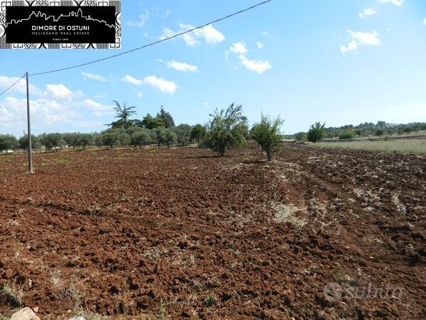 TERRENO FRONTE STRADA 5000mq in VALLE D'ITRIA