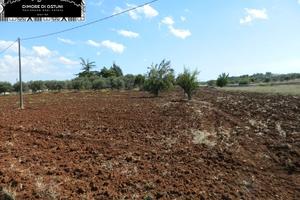 TERRENO FRONTE STRADA 5000mq in VALLE D'ITRIA