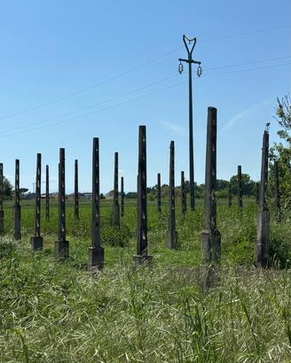Pali da vigna