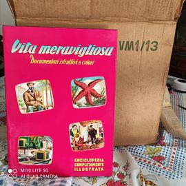 Enciclopedia per bambini Vita Meravigliosa