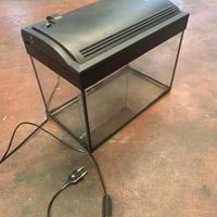 Accessori per animali