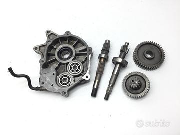 PEUGEOT TWEET RS 125 CARTER E INGRANAGGI RUOTA POS