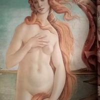 Libri I maestri dell'arte 