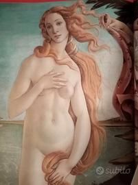 Libri I maestri dell'arte 