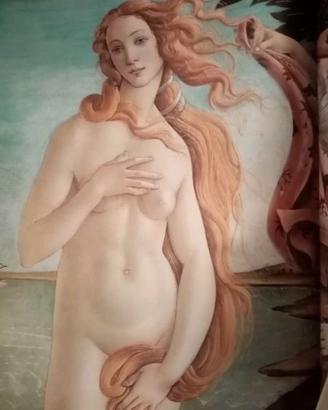 Libri I maestri dell'arte 