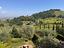 Immagine 10