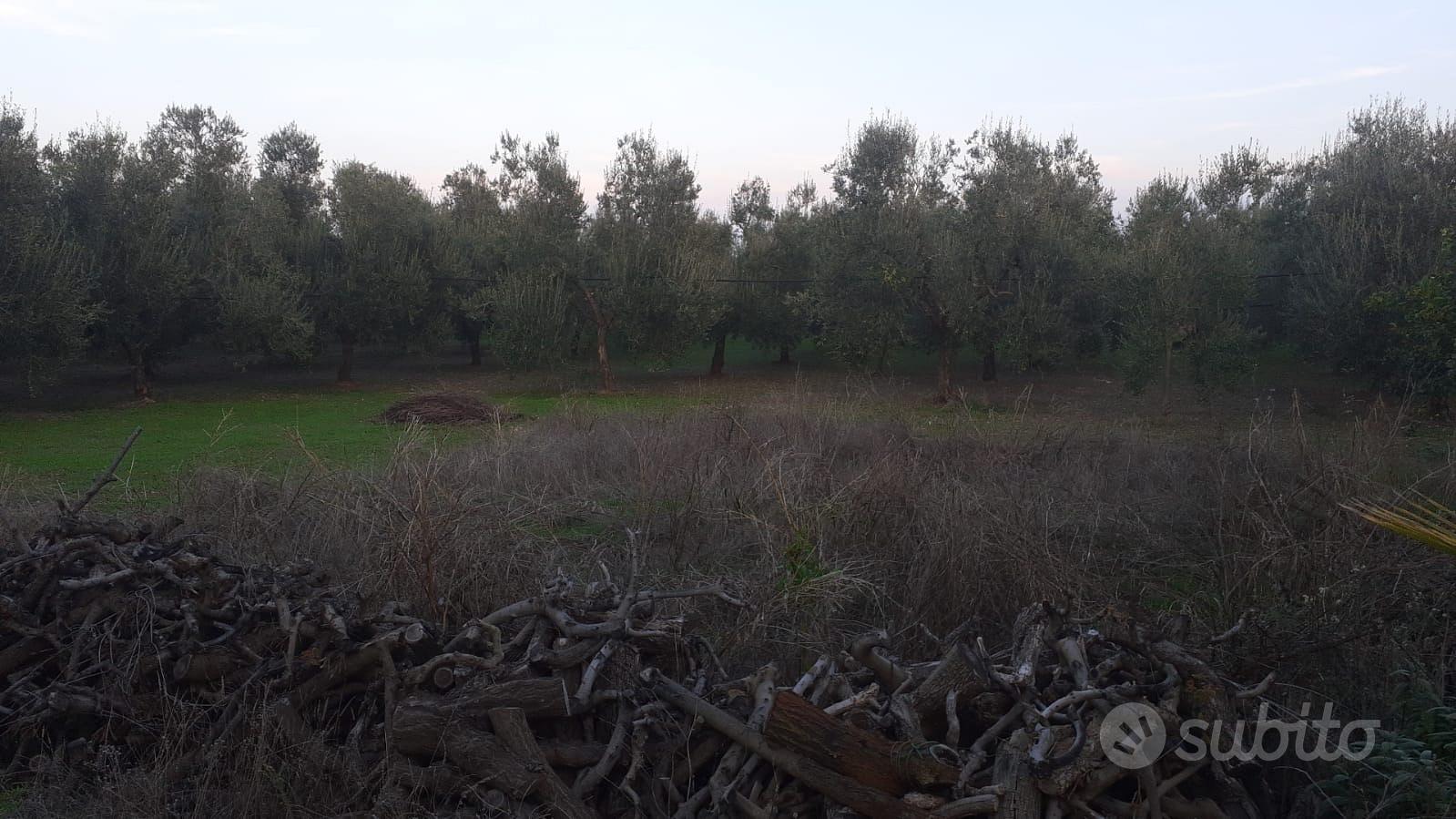 Casa – Barletta, Centro - Vista 3