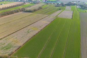 PIANIGA TERRENI AGRICOLI